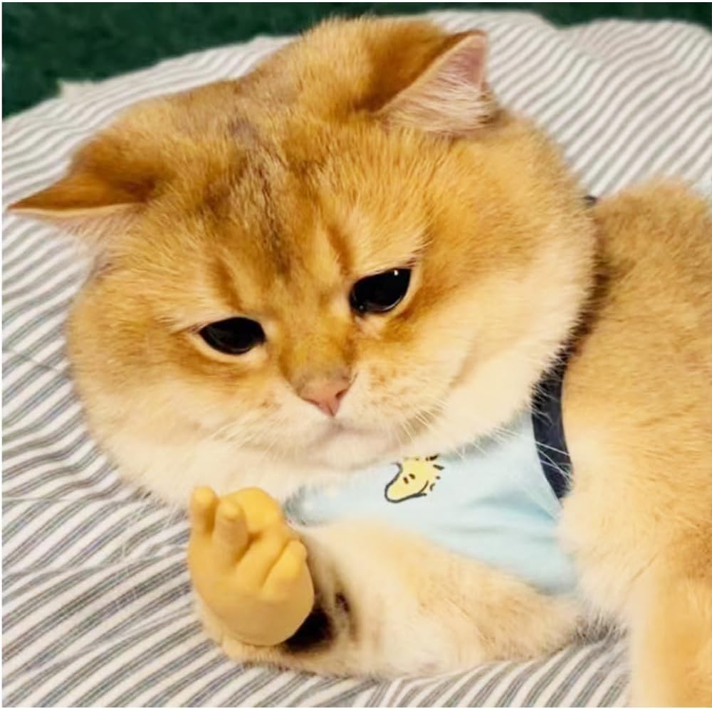 10 PCS Mini Hands for Cats，Small Hands Tiny Folded Hands Mini Realistic Hand Finger Puppets for Puppet Show,Gag Performance, Funny Stretchable Rubber Little Finger Hands for Cats and Puppy