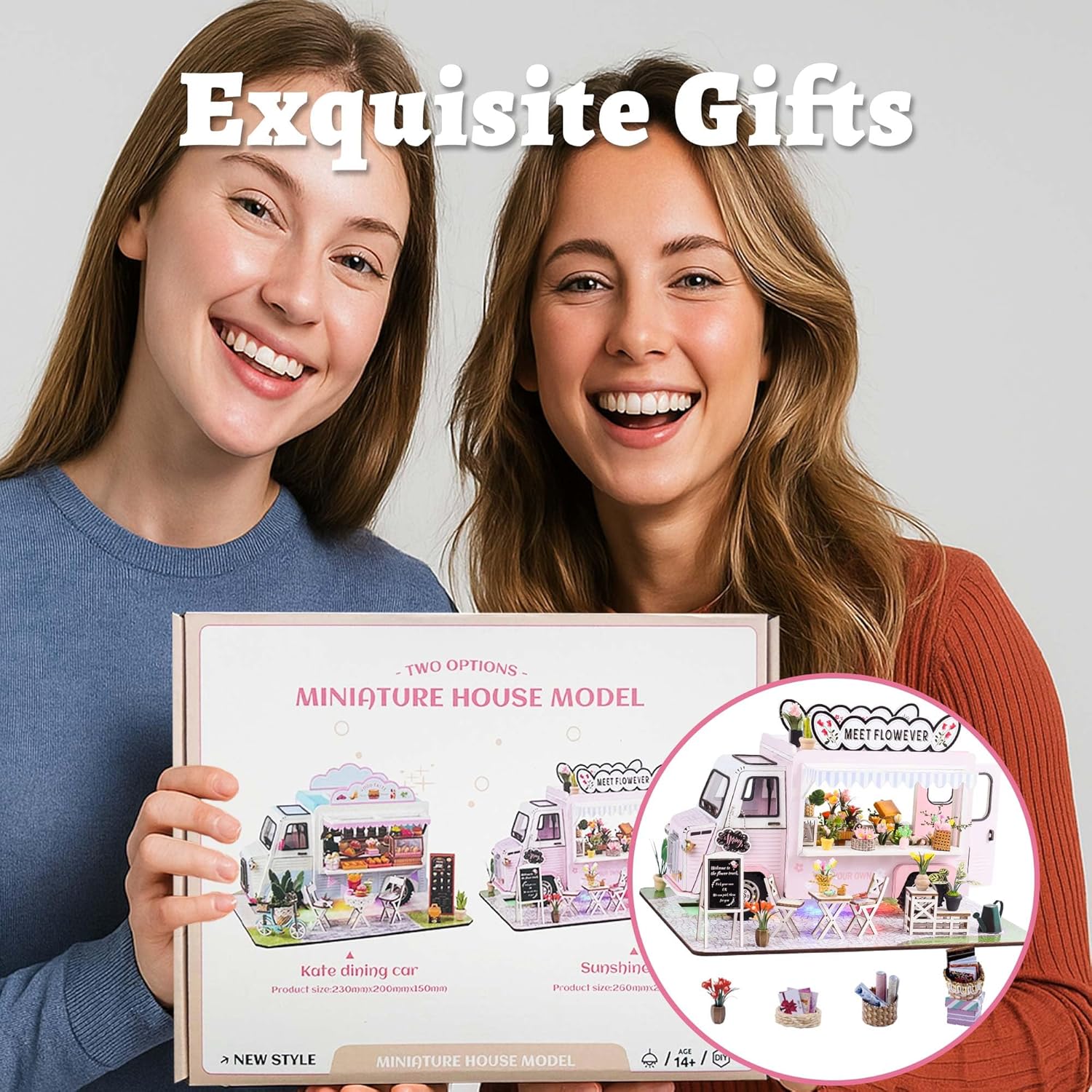 Flever DIY Miniature House Kit, Tiny Home Kit with LED Light, Mini House Build Craft Kits for Adults and Teens, Home Decor Creative Gift for Family/Friends (Sunshine Float)